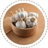 Garlic
