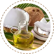 Cold-Pressed Coconut Extract