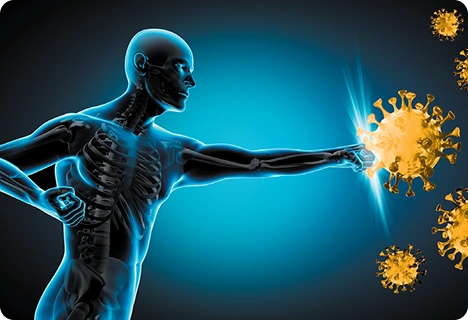 Supports Immunity Naturally