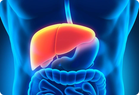 Natural Liver Cleanse
