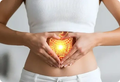 Better Digestion Support