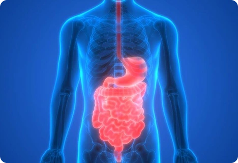 Improved Digestion & Detox
