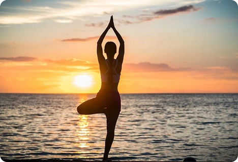 Immunity & Wellness Support