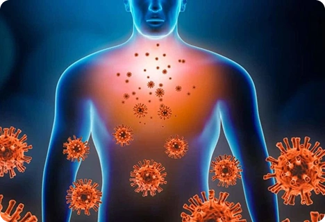 Strengthens Immunity