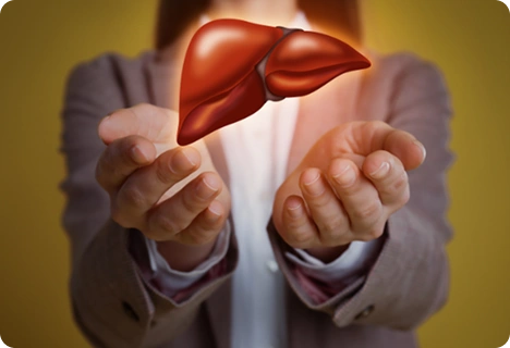 Supports Liver Health