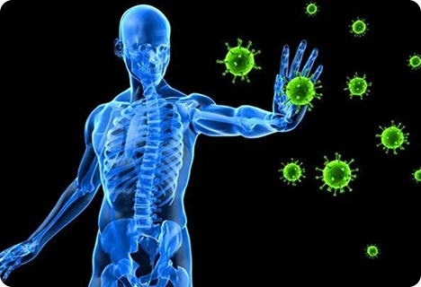 Boosts Immunity