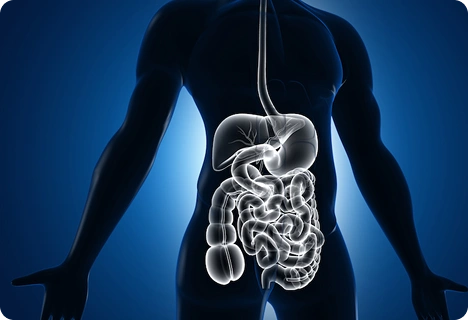 Better Digestive Health