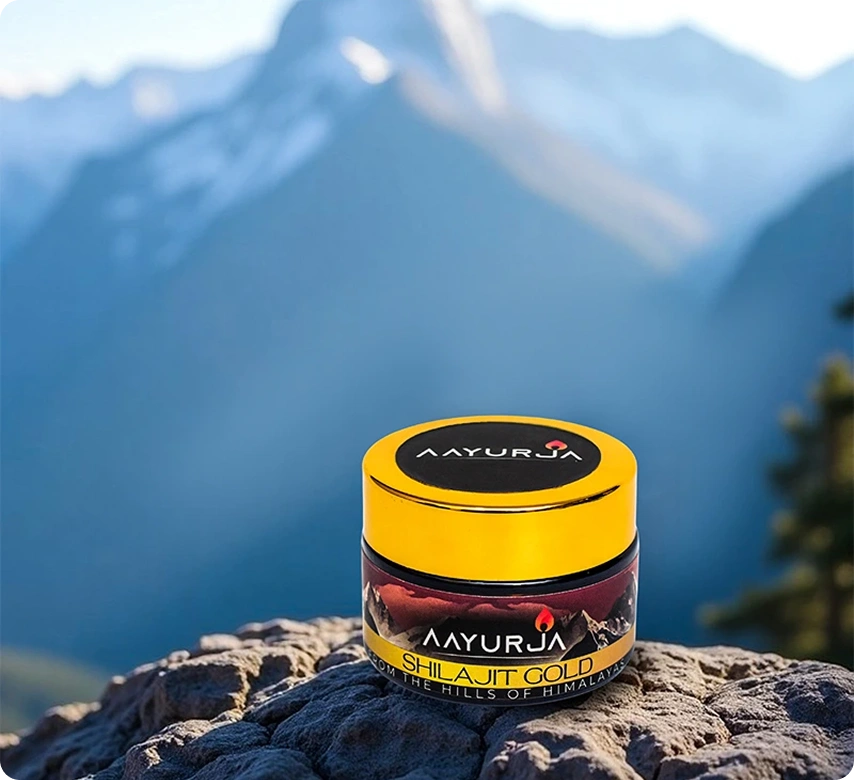 Shilajit: Pure Himalayan Energy Booster