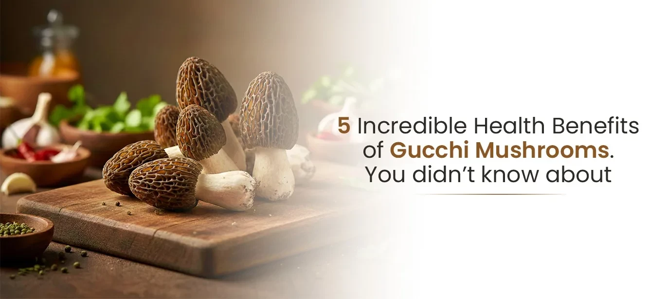 5 Incredible Health Benefits of Gucchi Mushrooms You Didn’t Know About