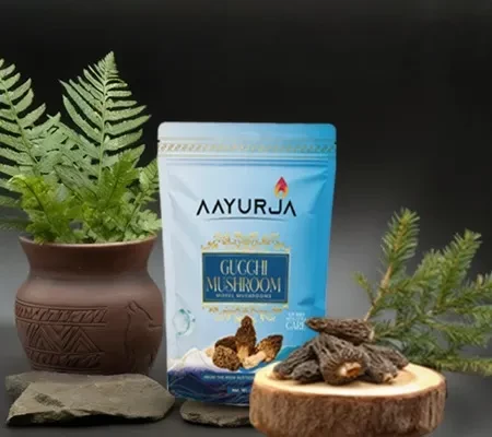 Gucchi Mushroom Benefits: Decoding the Science Behind Its Traditional Use as a 'Longevity Herb.'