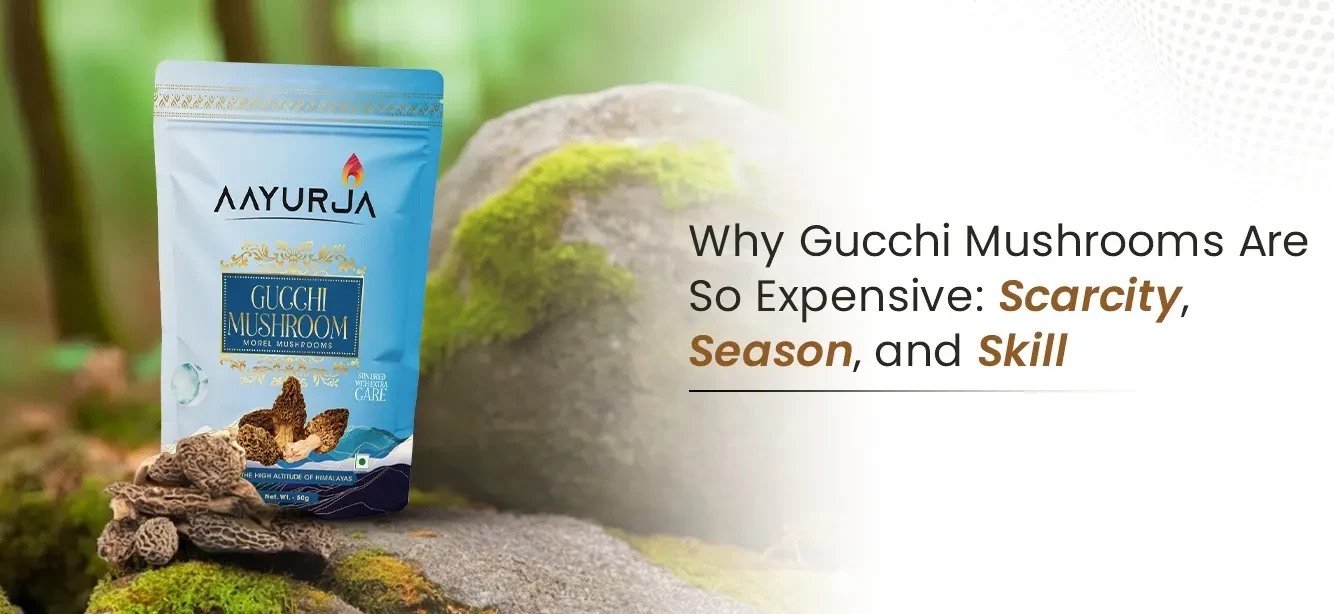 Scarcity, Seasonality, and Skill: The Real Reason Gucchi Mushrooms Command Premium Prices