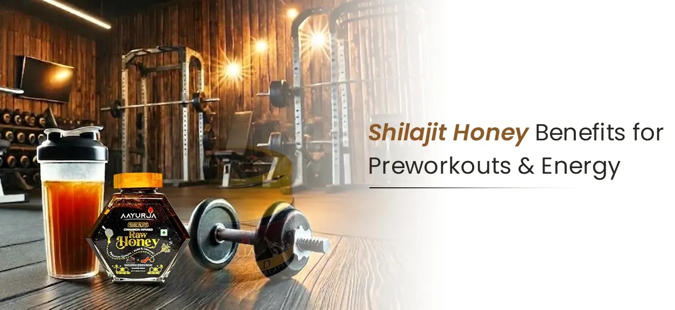 Shilajit Honey Benefits for Preworkouts & Energy (Clinical Evidence)