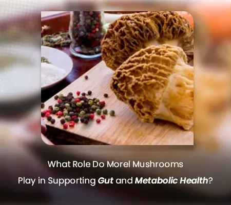 What Role Do Morel Mushrooms Play in Supporting Gut and Metabolic Health?