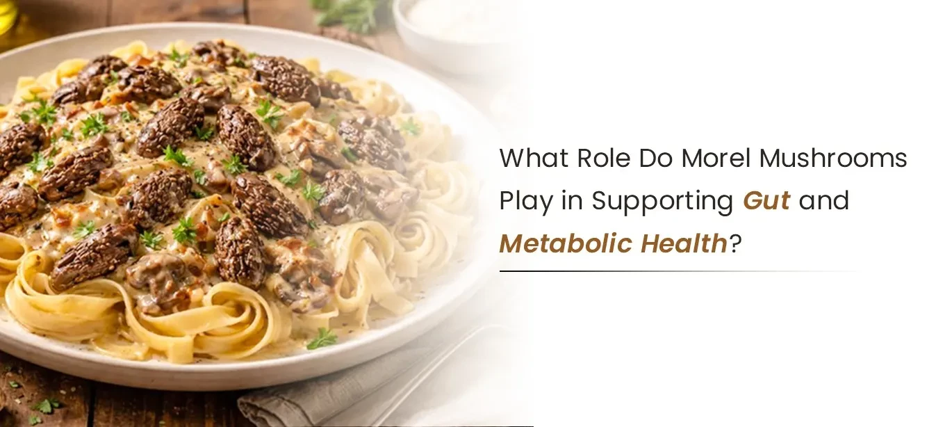 What Role Do Morel Mushrooms Play in Supporting Gut and Metabolic Health?