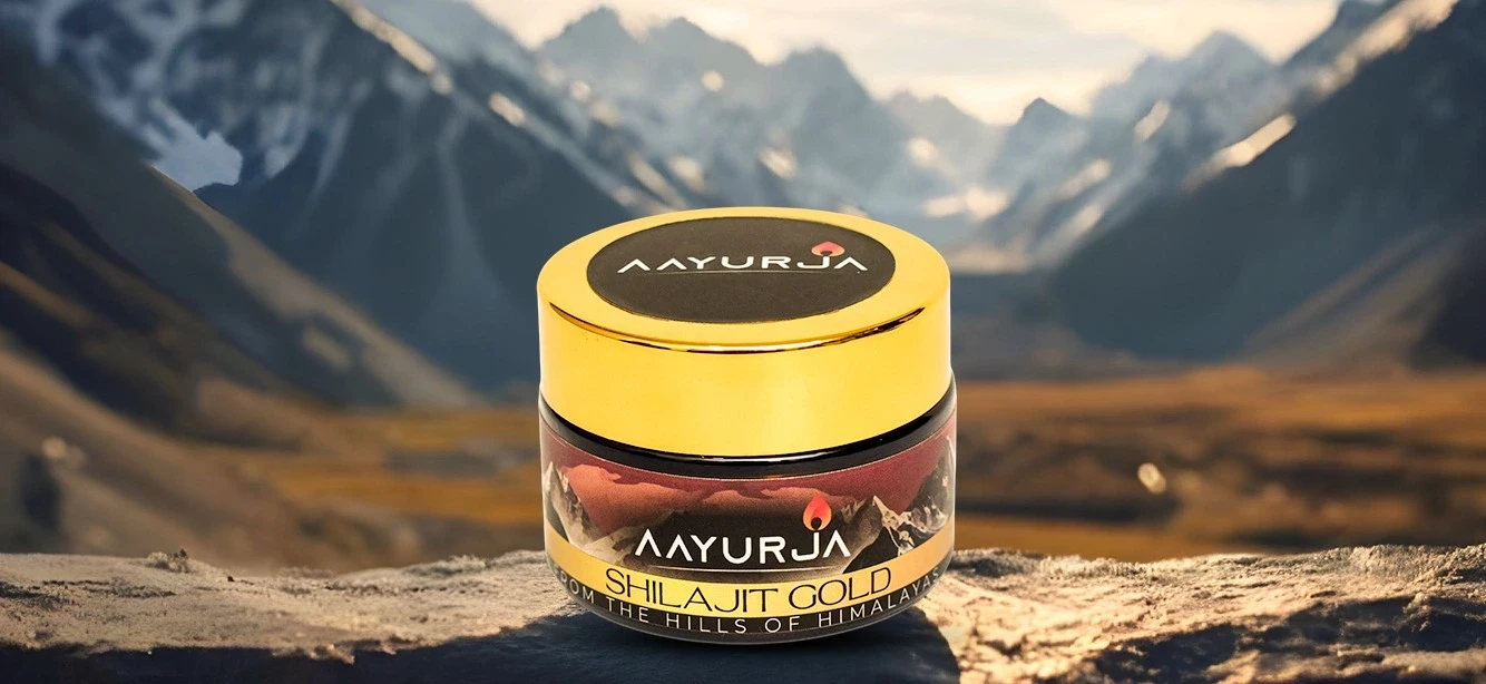 The Ultimate Guide to Buy Pure Shilajit Online in India: What to Know Before Your First Purchase