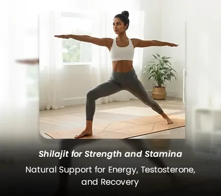 Shilajit for Strength and Stamina: Natural Support for Energy, Testosterone, and Recovery