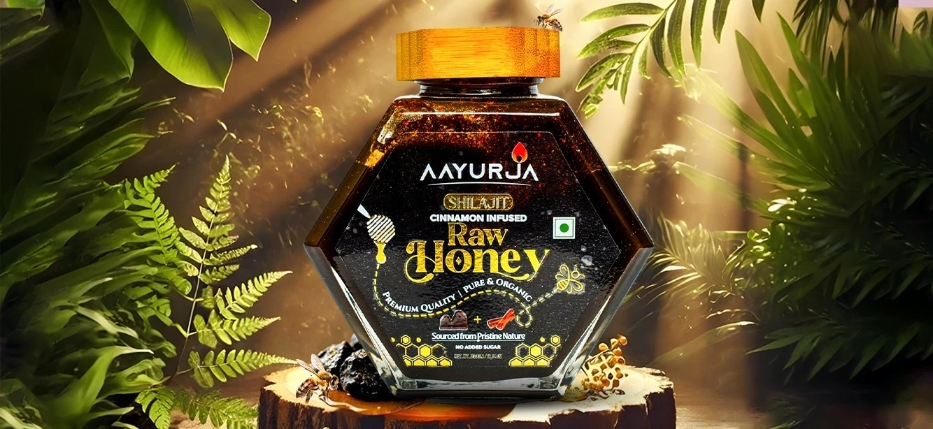 Sweet Meets Healthy: Exploring Aayurja's Shilajit Cinnamon Infused Honey