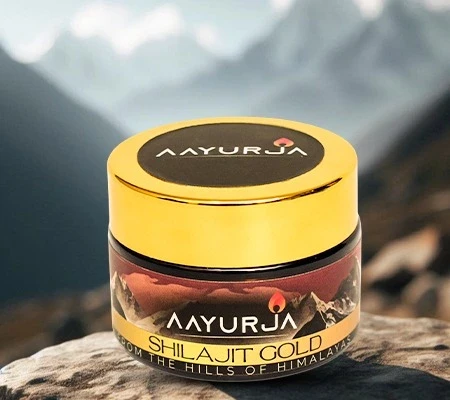 The Ultimate Guide to Buy Pure Shilajit Online in India: What to Know Before Your First Purchase