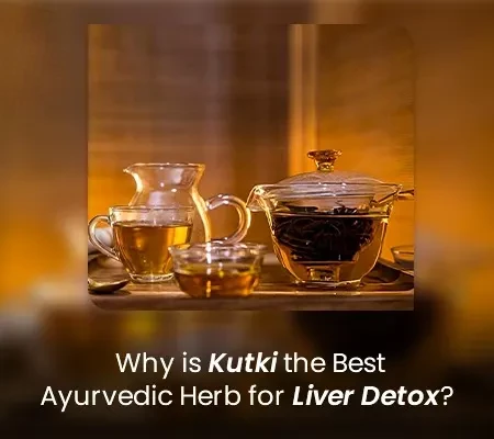 Why is Kutki the Best Ayurvedic Herb for Liver Detox?