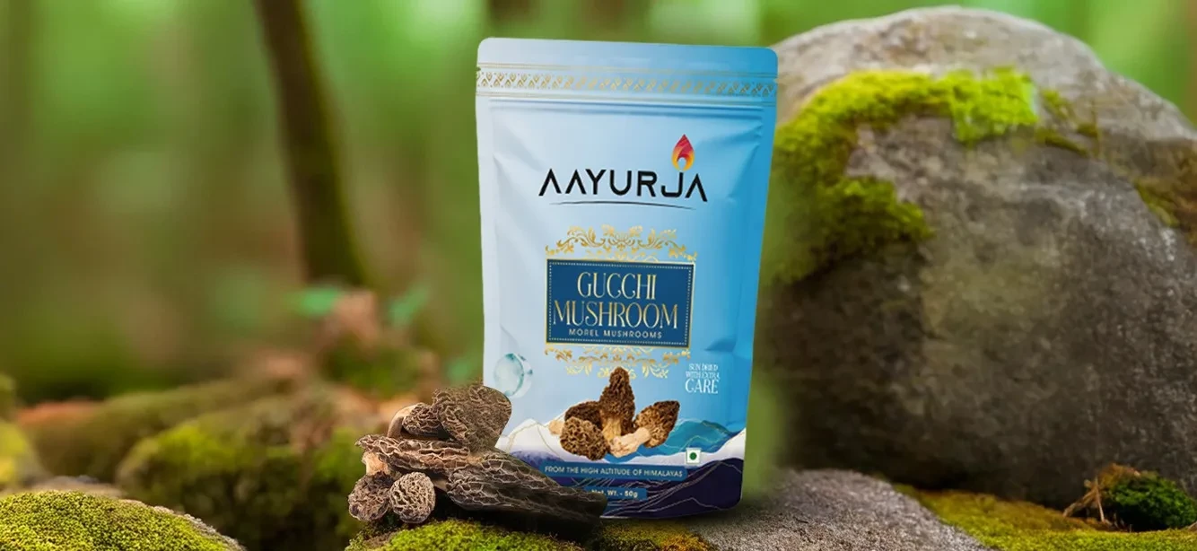 Gucchi Mushroom Benefits: Decoding the Science Behind Its Traditional Use as a 'Longevity Herb.'