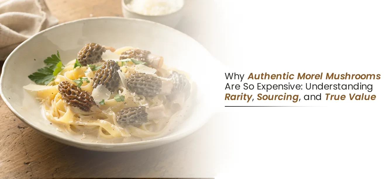 Why Authentic Morel (Gucchi) Mushrooms Are So Expensive: Understanding Rarity, Sourcing, and True Value
