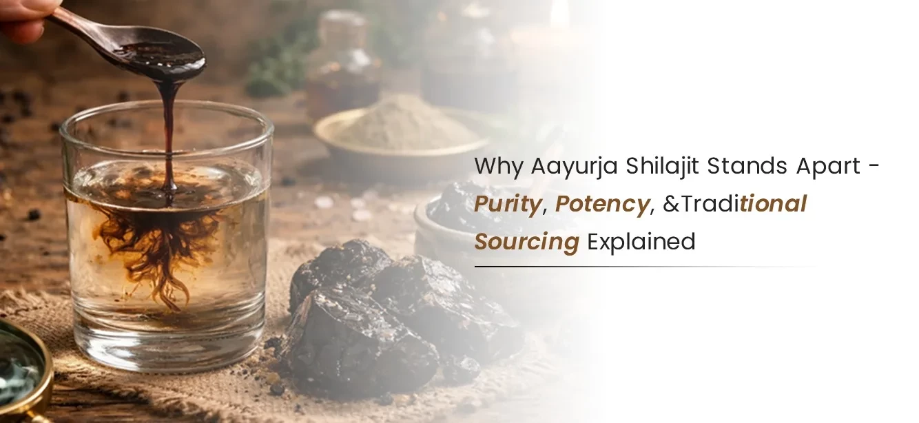 Why Aayurja Shilajit Stands Apart: Purity, Potency, and Traditional Sourcing Explained