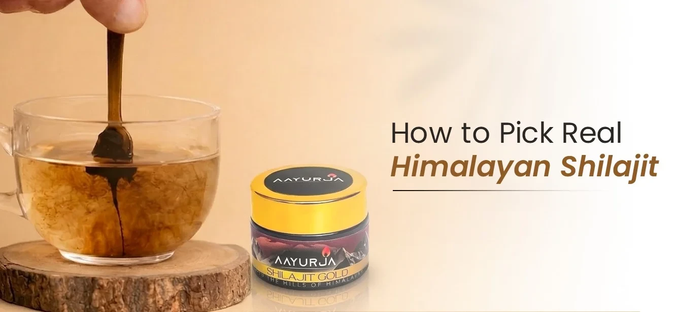 How to Pick Real Himalayan Shilajit (Quality & Safety Guide)