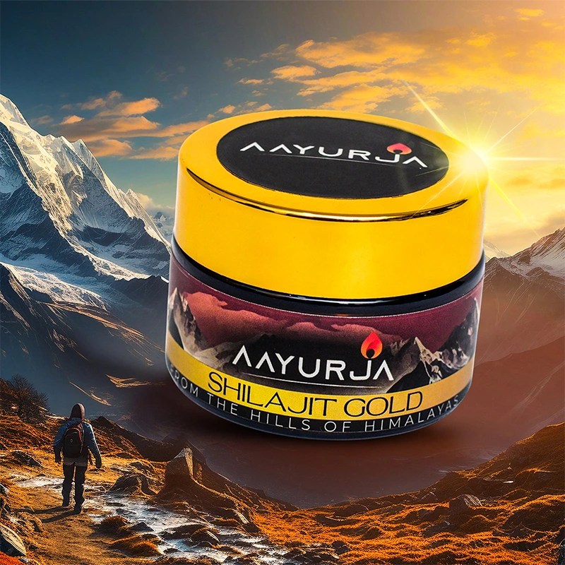 Shilajit: Pure Himalayan Energy Booster